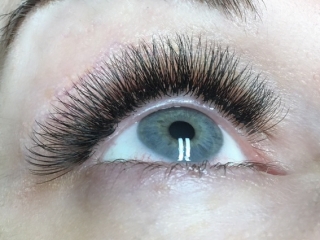 alt="3d eyelash extensions-Sofia Lashes"