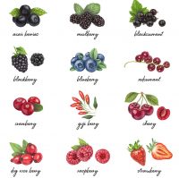 alt="Berries"