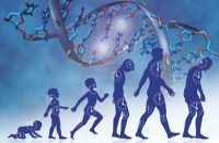 alt="Genetics and Age"